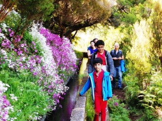 Levada do Rabaçal Walk & Safari in Madeira