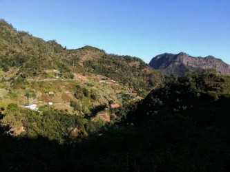 Levada da Referta na Ilha da Madeira