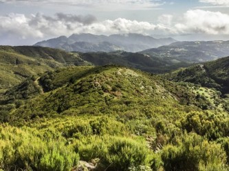 Santo da Serra Medium Trail Tour  in Madeira Island