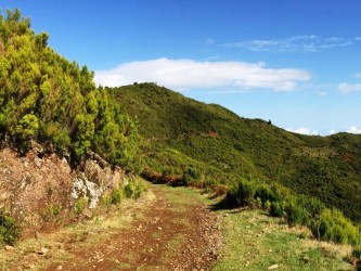 Santo da Serra Trail Tour Médio na Ilha da Madeira