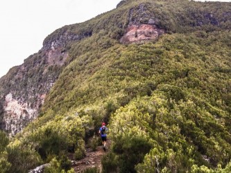 Sao Jorge Hard Trail Tour in Madeira Island