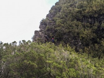 Sao Jorge (hard) Madeira Trail Tour