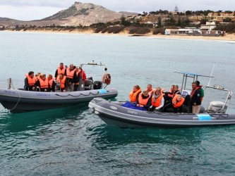 Semi Rigid Boat Tours in Porto Santo