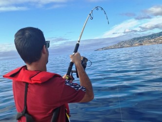 Shared Funchal Fishing Trips