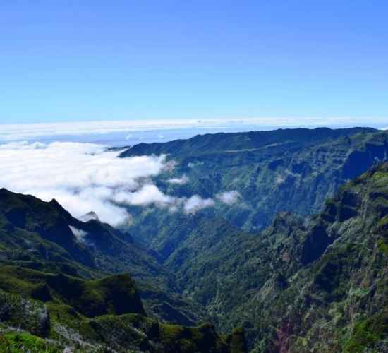 Sky to Sea Walk Combo Forest Mountain and Coast