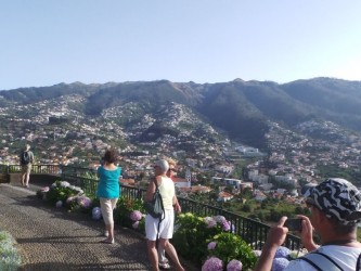 Skywalk & Professional Wine Experience in Madeira