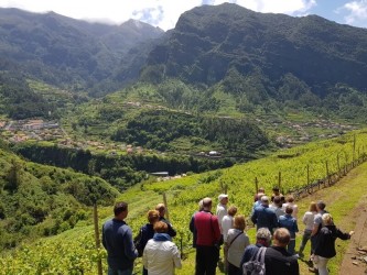 Cabo Girão e Experiência Profissional De Vinhos