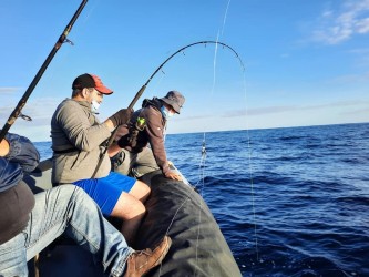 Actividade de Pesca Desportiva na Ilha do Porto Santo