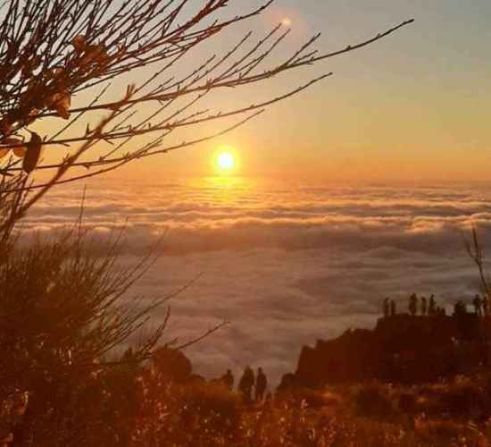 Sunrise & Walk Experience