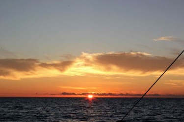 Sunset Boat Trip from Funchal on Catamaran