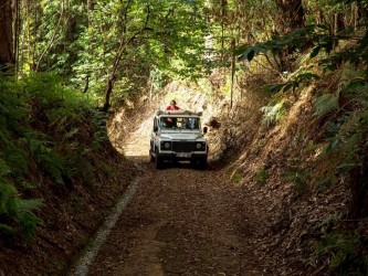 The Best of the South Jeep Tour in Madeira Island