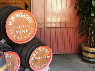 Tour de Vinho Madeira a pé na Ilha da Madeira