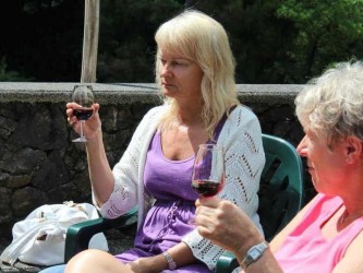Wine & Poncha Tour in Madeira