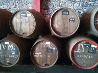 Tinta Negra Wine Tour in Madeira