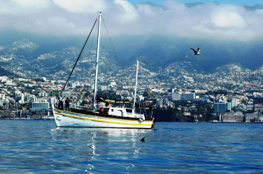 Experience Madeira's New Year Fireworks Show from Boat