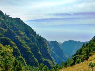 Visit Cabo Girão Accessible by Wheelchair Half Day Tour