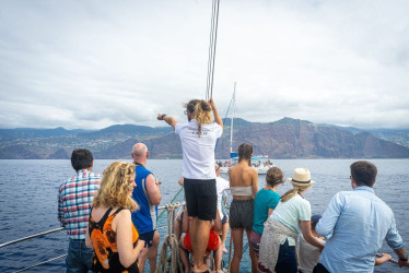 Passeio de barco pelas baías ocidentais da Madeira