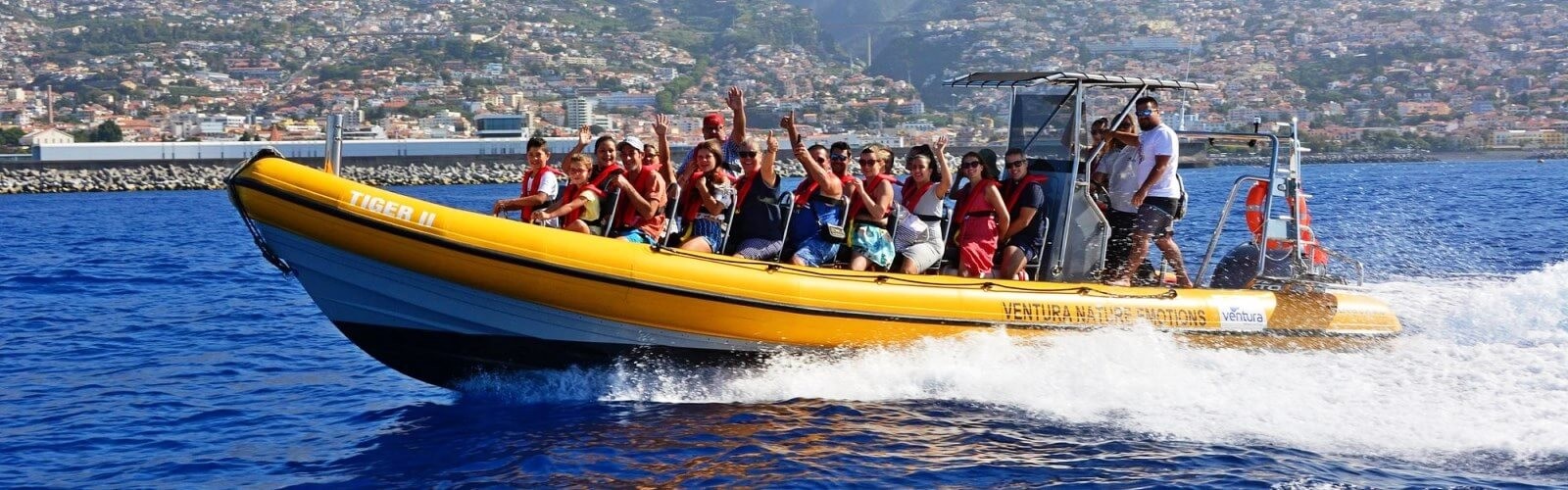 Whale & Dolphin Watching Tour from Funchal