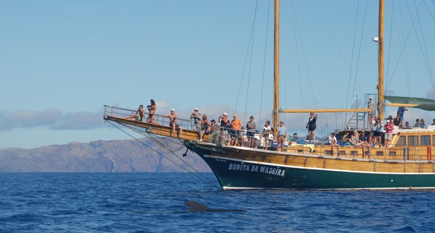 3.-Boat-Tours-Madeira-Holiday-Activities