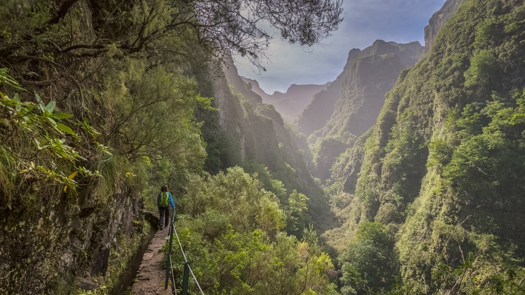 Discover the Top 5 Guided Walks in Madeira - Levada do Caldeirao Verde ©Francisco Correia