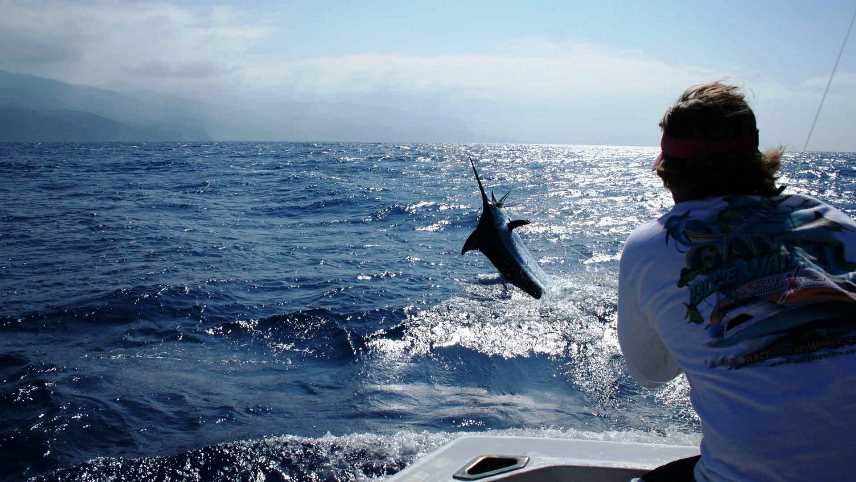 Guide to Sport Fishing in Madeira Island