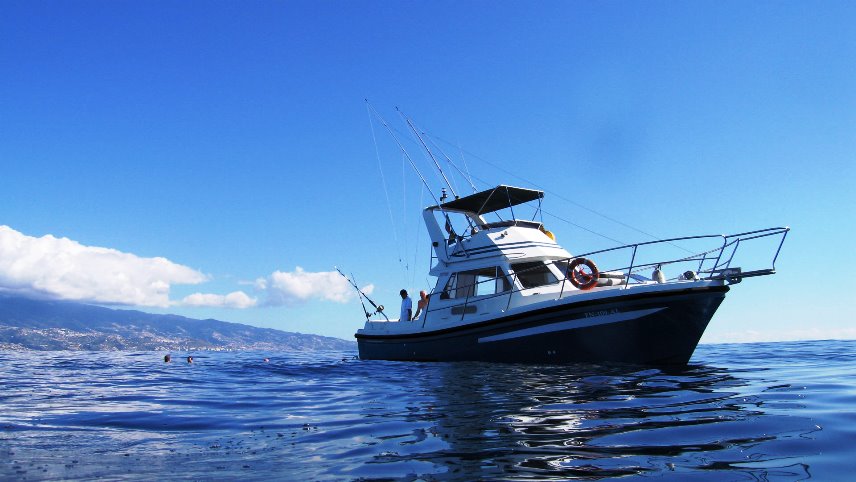 Guide to Sport Fishing in Madeira Island charter