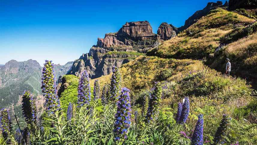 Caminhada icónica da Madeira Pico do Areeiro ao Guia do Pico Ruivo