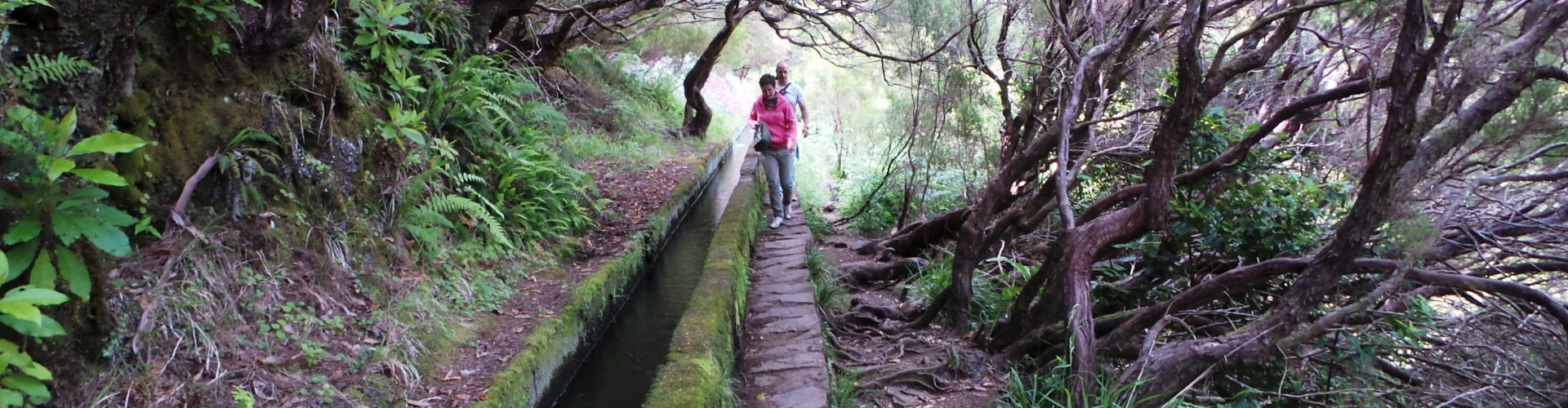 Caminhadas perto do Funchal Madeira